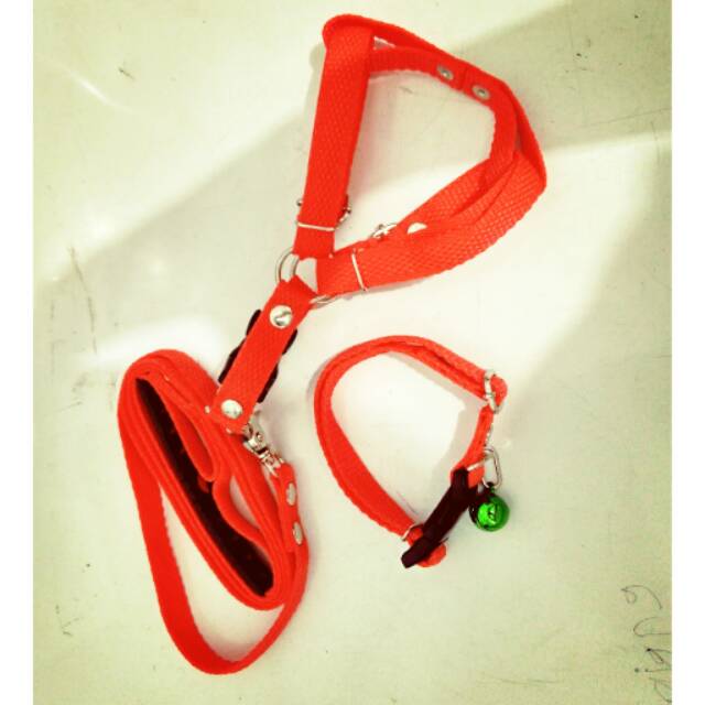 Tali harness + kalung good quality