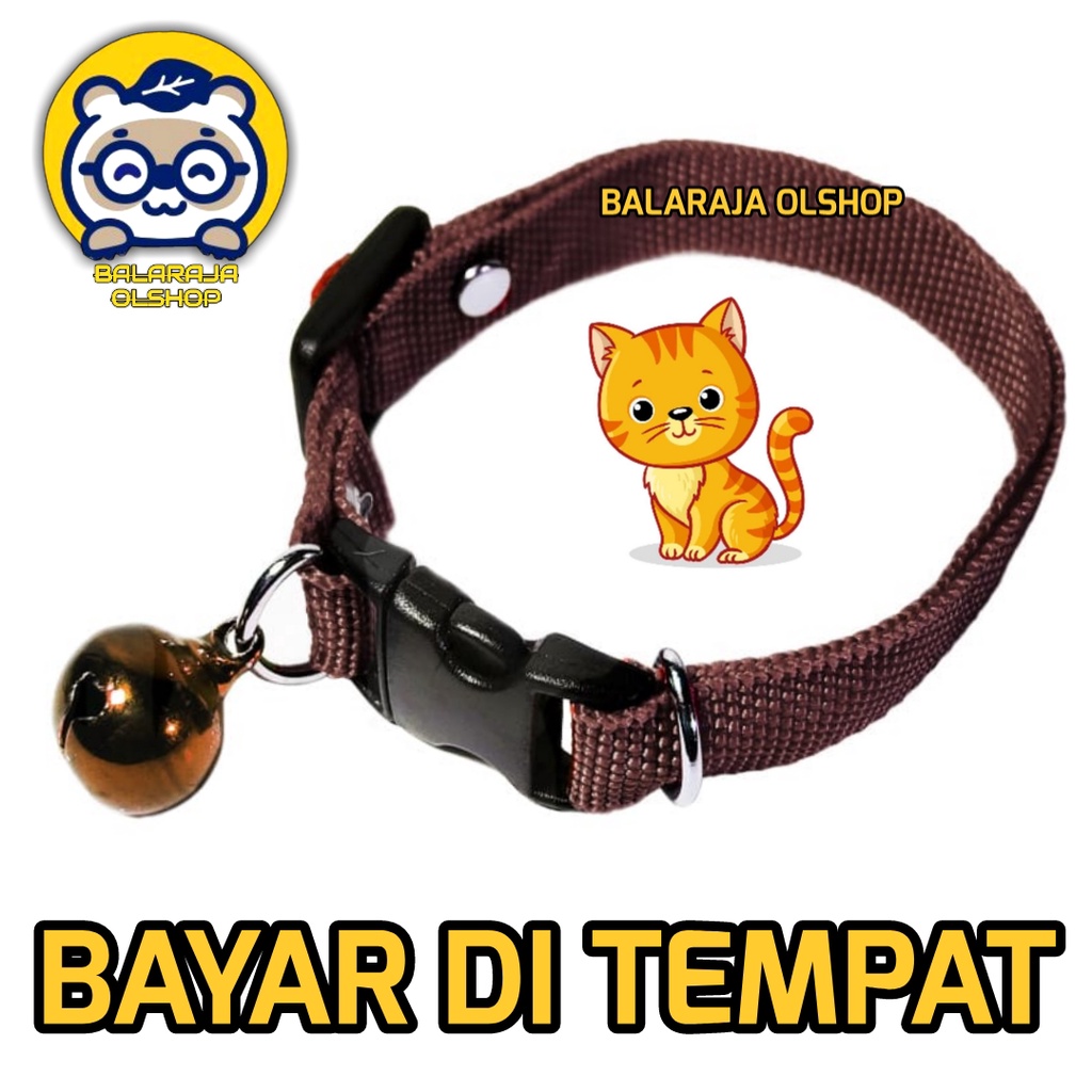 Kalung Kucing Musang Kelinci Polos Lonceng Ready Semua Warna