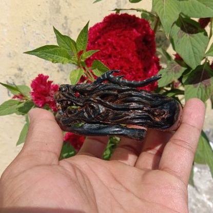 GELNAG AKAR BAHAR MERAH NATURAL FULL UKIR NAGA TANDUK RUSA