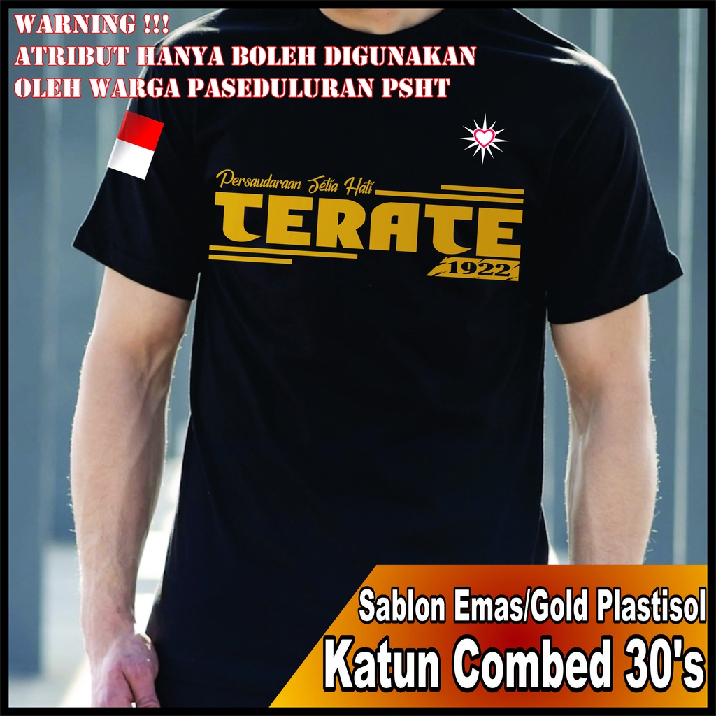 Kaos SH / PSHT / Sablon Plastisol