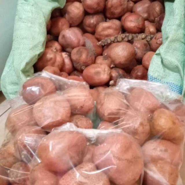 

Zuriat Doum mesir 500gr