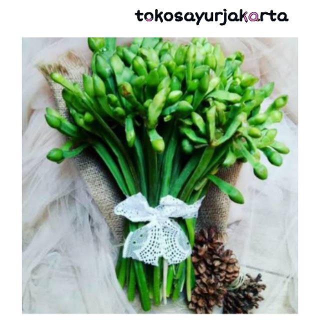 

Sayur Genjer Segar - Per Ikat
