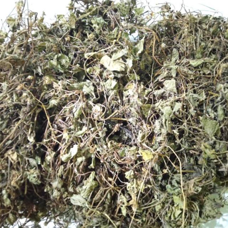 

daun pegagang kering 50 grm