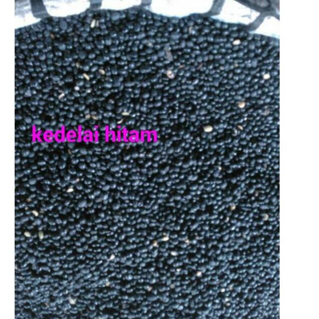 

Ready Stok kacang kedelai hitam / dele ireng 500gram new
