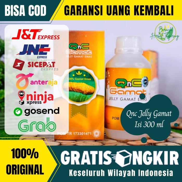 Obat Herbal Telinga Berair Telinga Bernanah Infeksi Saluran Telinga Otosklerosis Jelly Gamat Qnc Shopee Indonesia