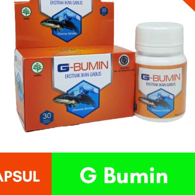❄ Kapsul G Bumin Ekstrak Ikan Gabus ◘