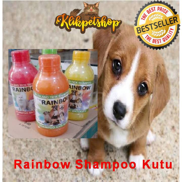 Rainbow Shampoo Kutu Anjing Wangi