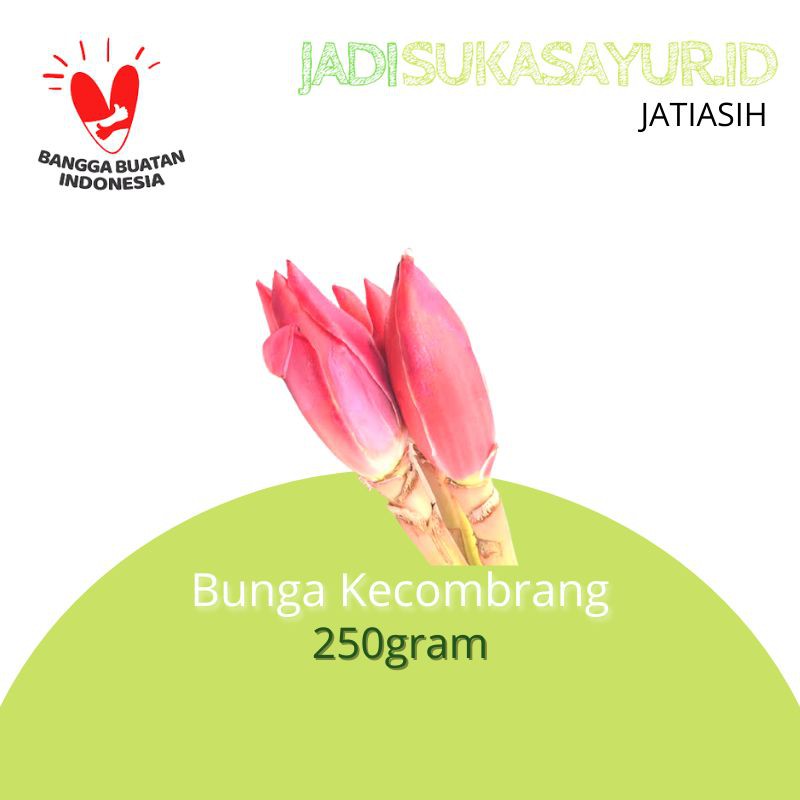 

Bunga Kecombrang Segar / Kincung 250gram - Sayuran Segar Bekasi