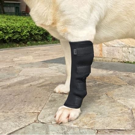 Dog leg bandage