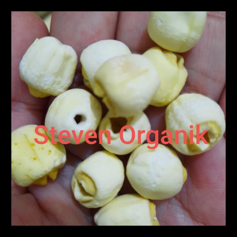 

UPDATE! BIJI TERATAI 250 GR / WHITE LOTUS SEED / LIANZHI / LIANCI TERMURAH