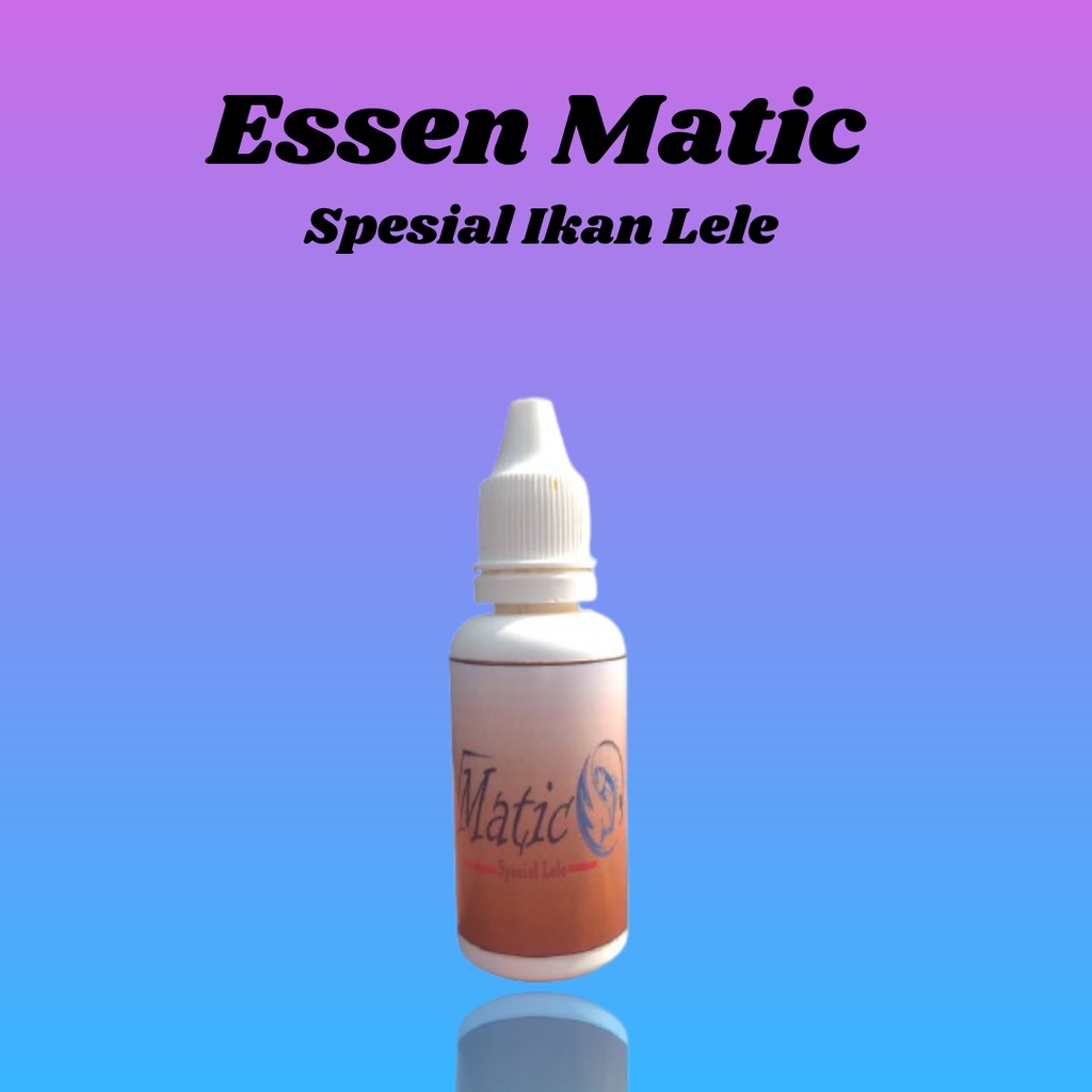 Essen Ikan Lele Jitu Galatama