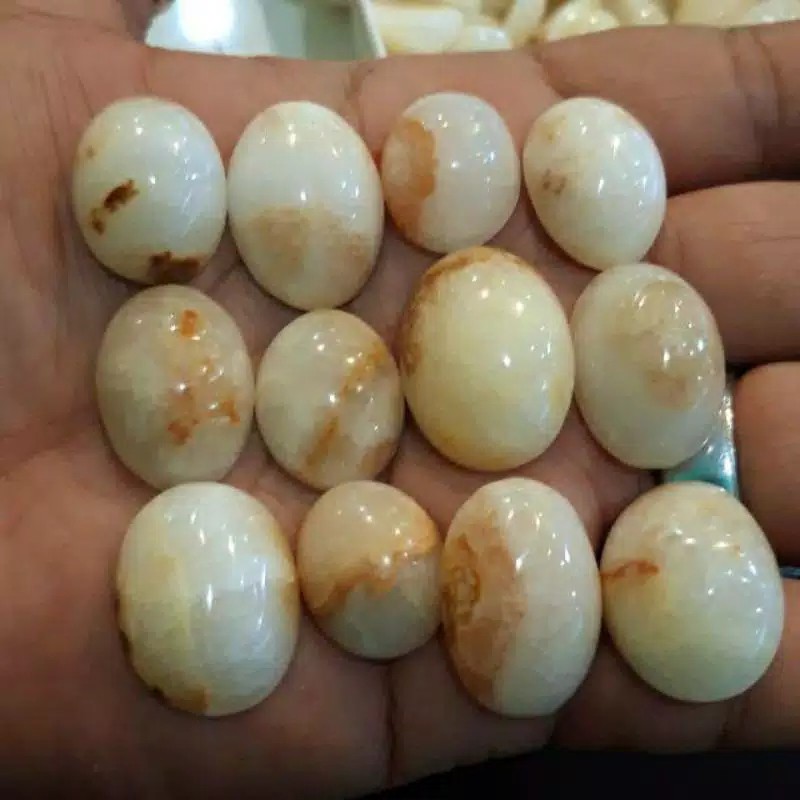 

Batu mani gajah asli bisa jalan di air cuka garansi 100%