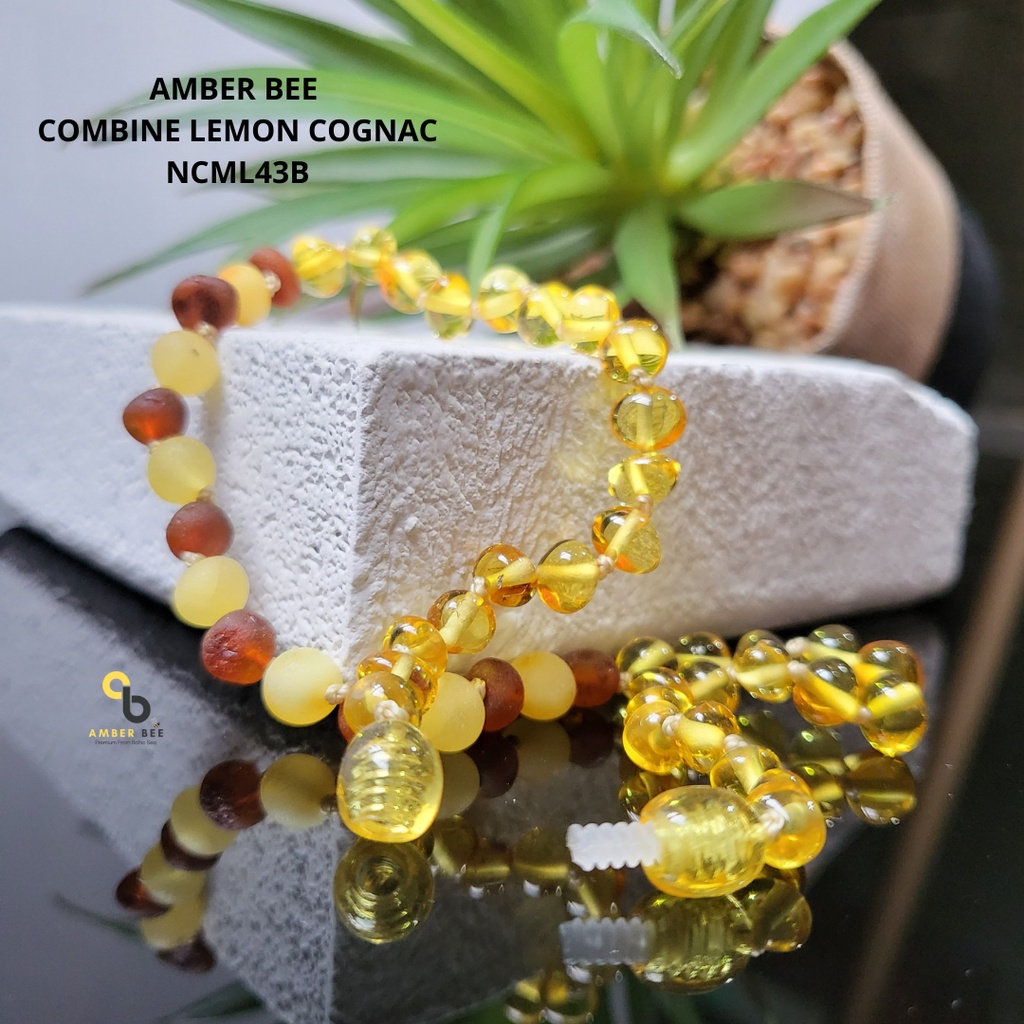 Kalung Amber Baltic Anak Premium Combine Lemon NCML43B By Amber Bee