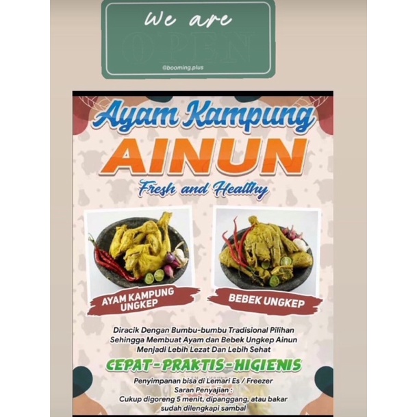 

Ayam Kampung Ainun