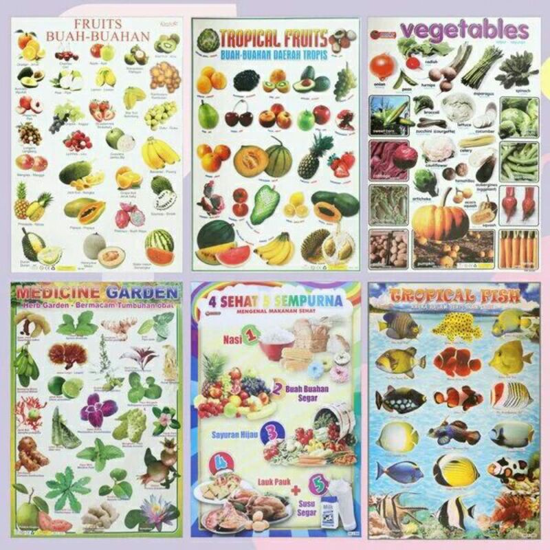 poster edukasi buah buahan sayur mayur vegetable tanaman palawija  poster 4 sehat 5sempurna