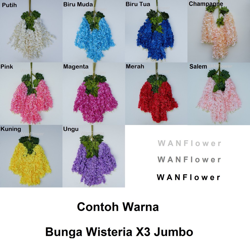 WANFlower Bunga Juntai Wisteria X3 Jumbo * KUNING (perTangkai) P1,1M