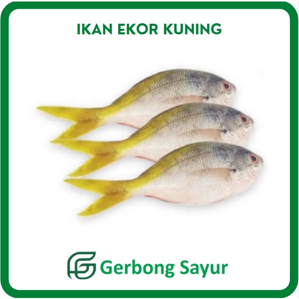 

Ikan Ekor Kuning Segar - 1 Kg