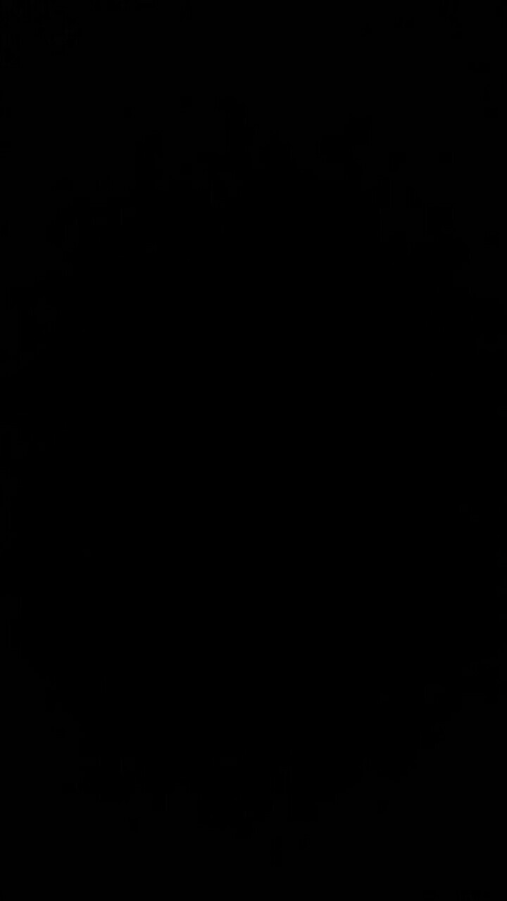 Pisau Dapur Ginzu Gagang Kayu Tidak Berkarat