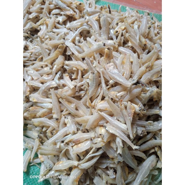 

ikan teri katak (gepeng)
