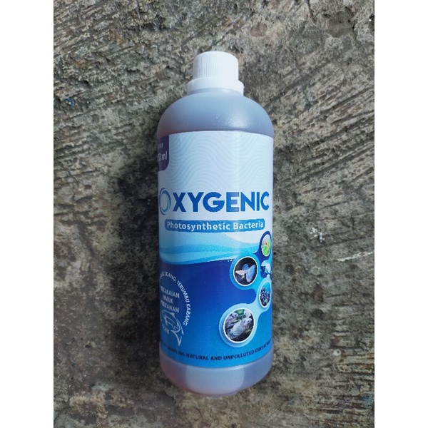 oxygenic photosynthetic bacteria bakteri starter kolam suplemen ikan bakteri starter cair kolam oxyg
