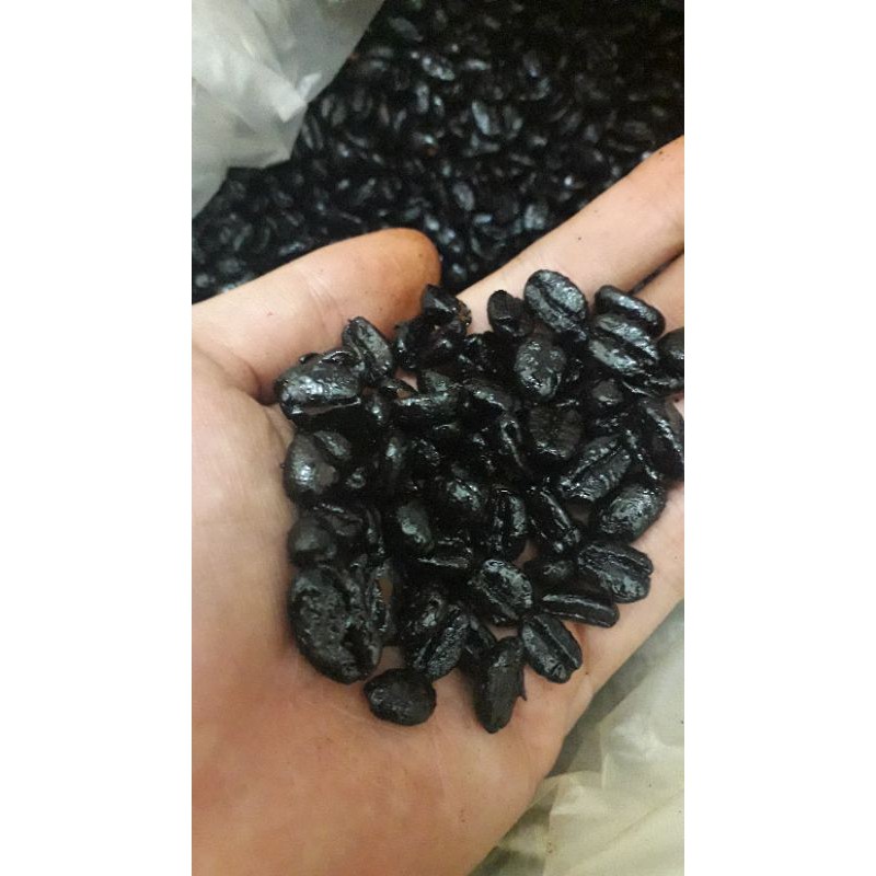 

Biji Kopi Sidikalang dan Gayo..