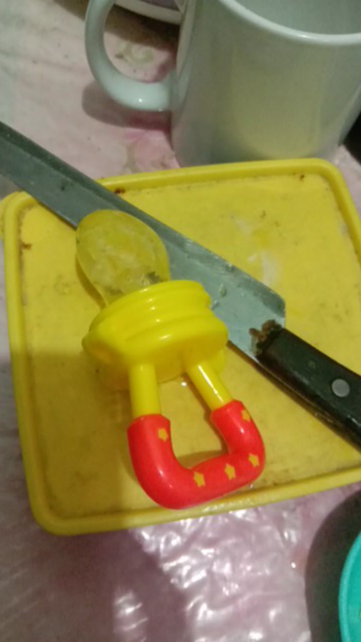 Food Feeders Dot Makanan Buah Sayur Daging Empeng Bpa Free