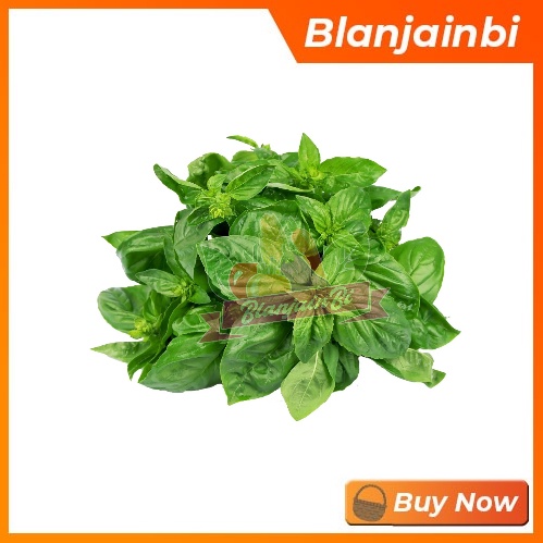 Daun Kemangi Bandung Area