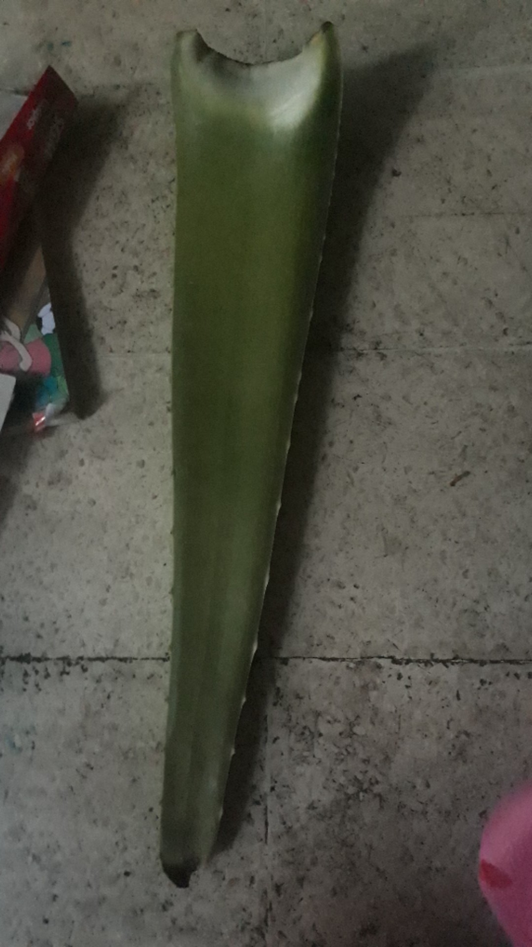 Sale! Pelepah Lidah Buaya Jumbo & Fresh 100% Organik (600-750gr)