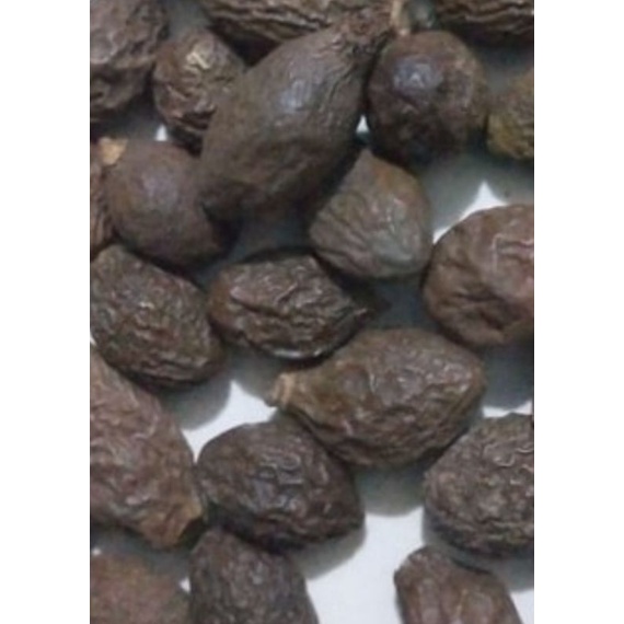 

buah sempayang/kembangsemangko
