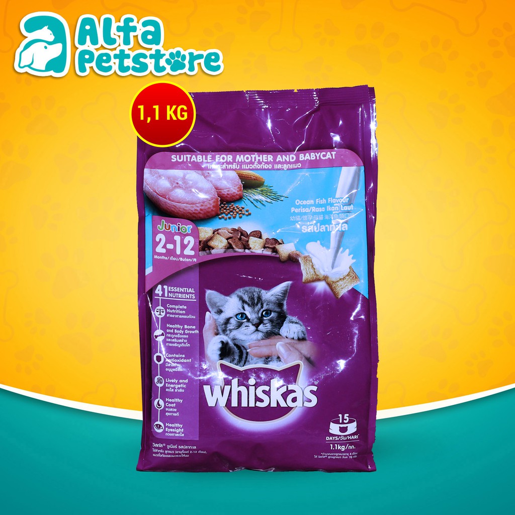 Makanan Kucing Whiskas 1.1 kg