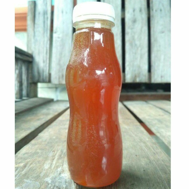 

Madu Kelanceng liar