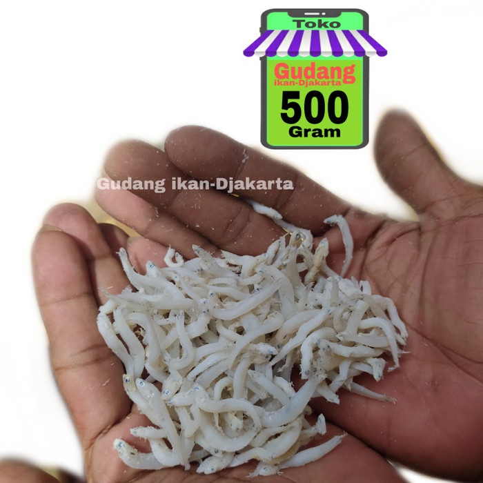 

ikan asin teri medan toge super netto-500gram