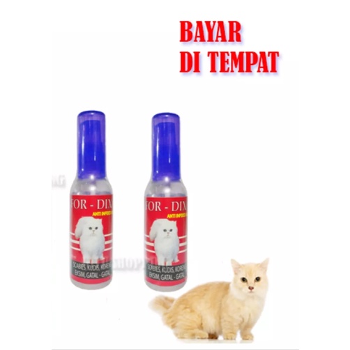 FOR DIX -  OBAT KUCING KORENGAN GATAL GATAL JAMUR SCABIES KUDIS AMPUH