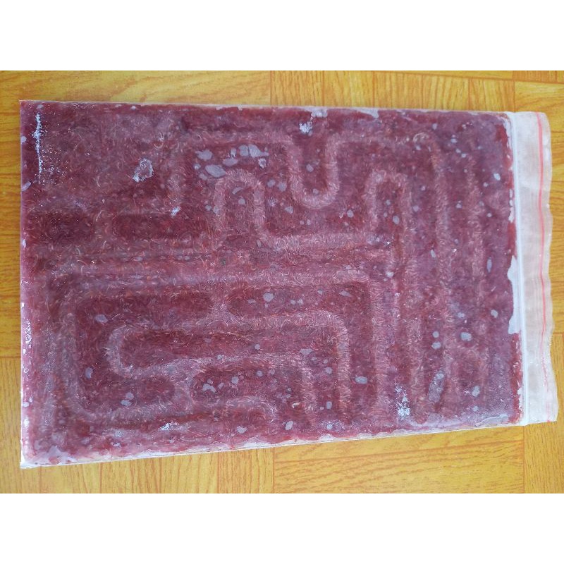 Pureblies_ Cacing Beku Cacing Darah Beku Premium