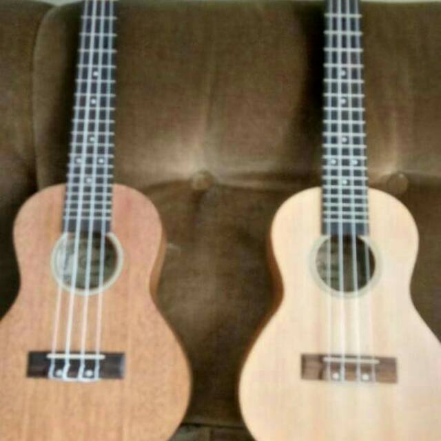 Grande Ukulele Concert 23" Varian Warna + softcase