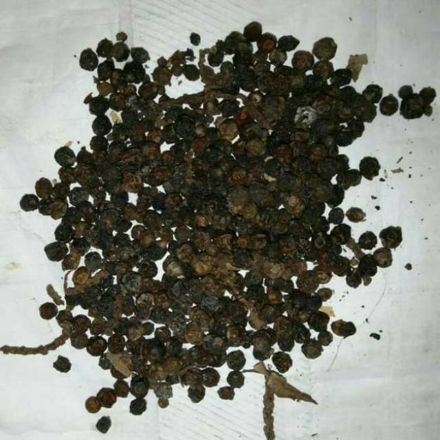 

Pedas Biji Hitam Lada Hitam Super Kualitas No.1