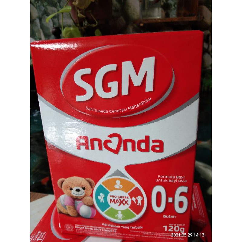 Susu formula SGM 0 sd 6 bulan