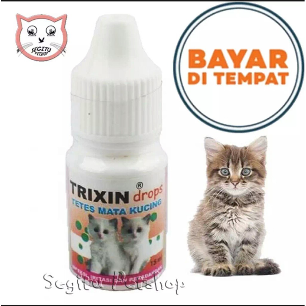 Obat Kucing Sakit Mata Merah Berair Belek Trixin Cat