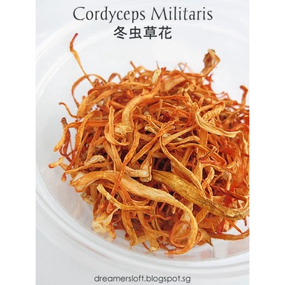 

Cordyceps Flower Jamur Bunga Cordyceps Militaris Chong Cao Hua