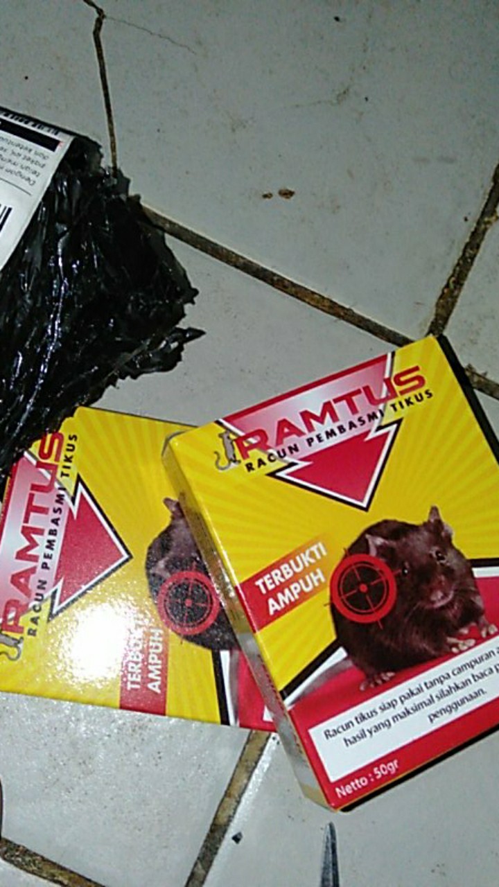 Racun Pembasmi Dan Pengusir Tikus Mobil Paling Ampuh Cikarang