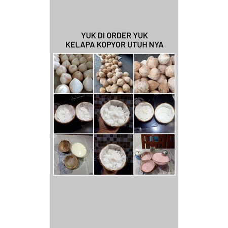 

kelapa kopyor premium