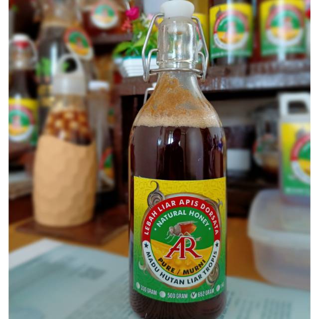 

Madu Murni Hutan Trophis lebah Apis Dorsata