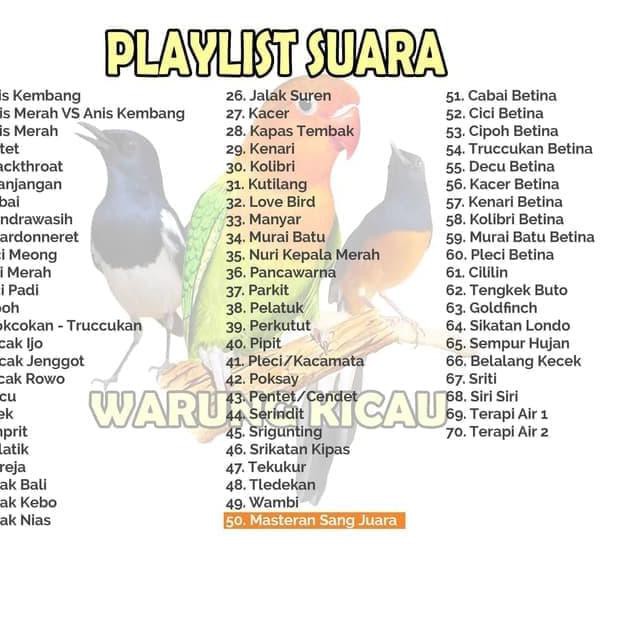 New Masteran Burung Kicau Speaker Audio Full Termurah Semua