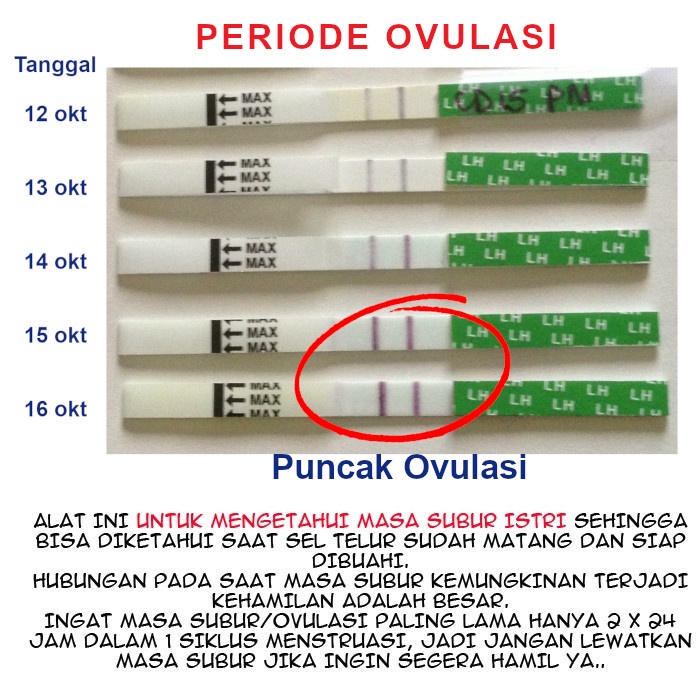 Strip Test Masa Subur Wanita / Baby Test OneMed (Ovulation/LH Test Strip)