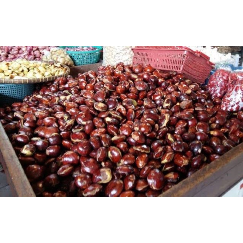 

JENGKOL SUPER JEPARA 250Gr