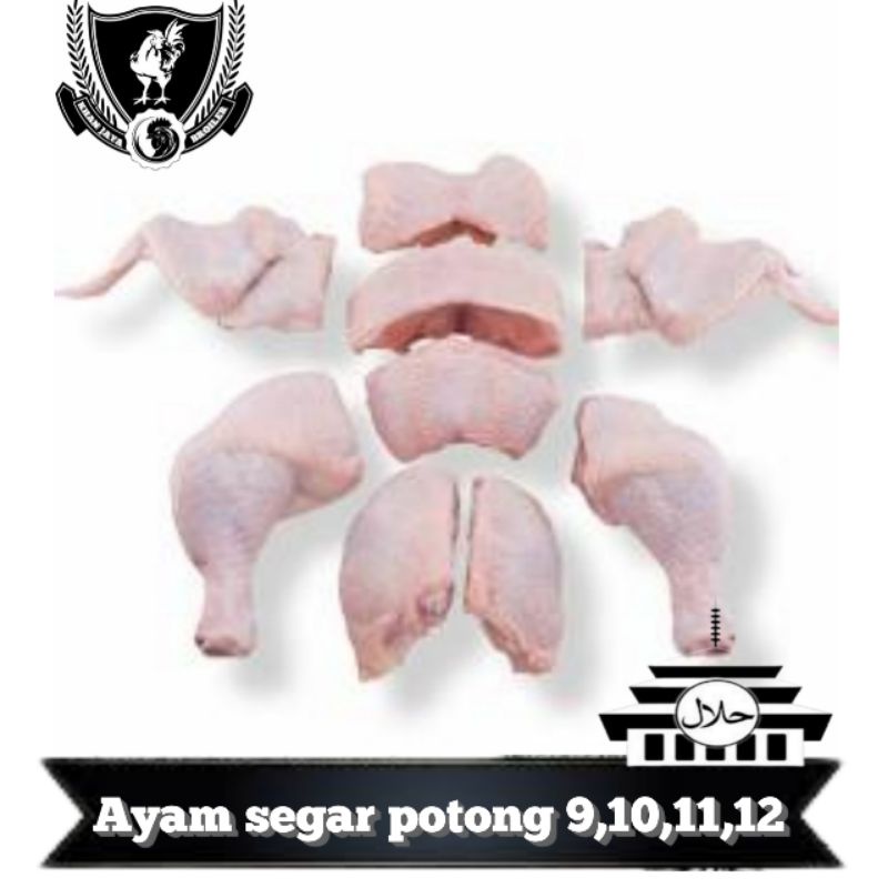 

Ayam segar potong 9, 10, 11 ,12 campur kj bandung 500 gr / 1 kg