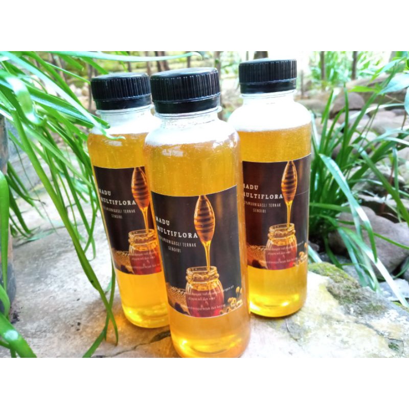 

Madu Multiflora My Bee 100%madu lebah asli