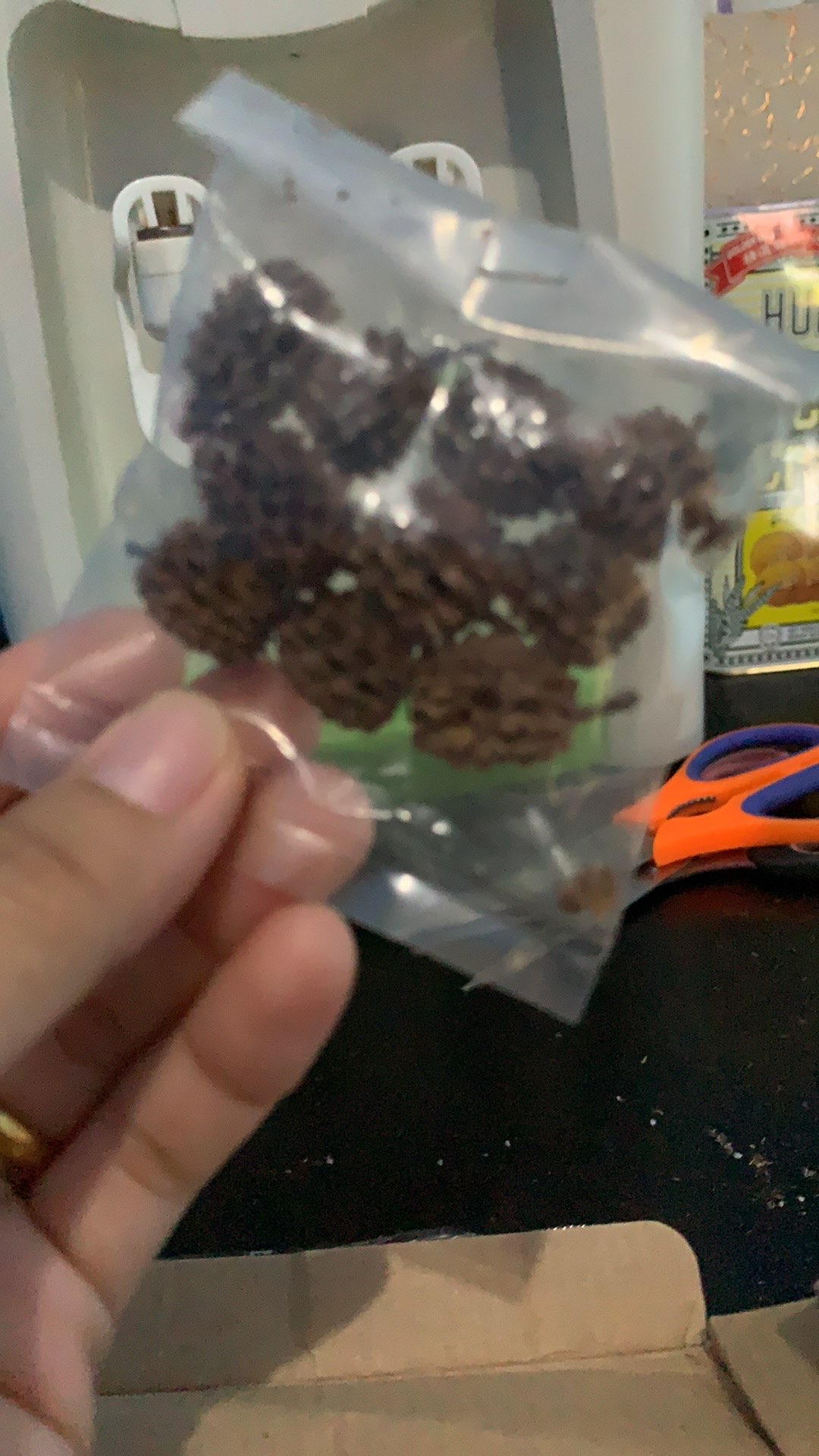 Biji Durenan Bahan Mahar Dan Craft Rustic