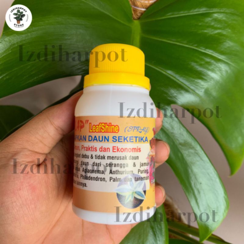 kilap leafshine SPRAY 100ml - pengkilat daun bikin tanaman cantik