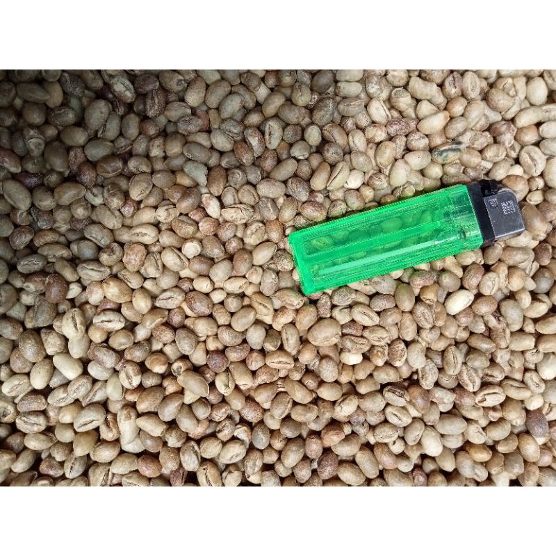 

Robusta Lanang Gunung Kelir 200g